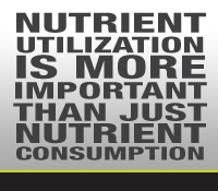 Core Health Products - Get Them Today!