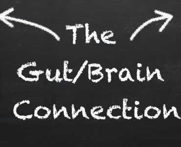 Gut Brain Connection Banner