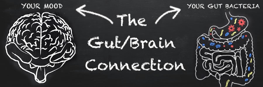 Gut Brain Connection Banner