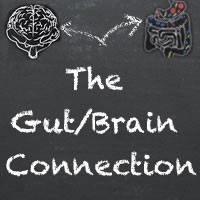 gut, health, brain, digestion