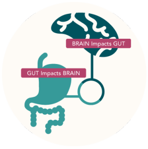 Gut brain connection