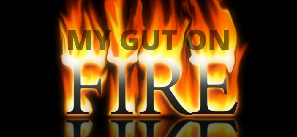 gut-fire-blog